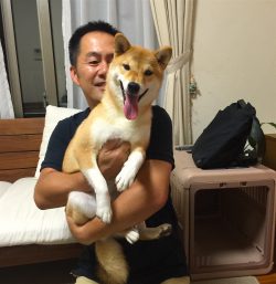 柴犬を飼ったら抱っこをしてあげましょう 犬のしつけ 犬の幼稚園ズットドッグ 桶川 上尾 伊奈 北本の犬の幼稚園 犬の一時預かり ドッグホテル