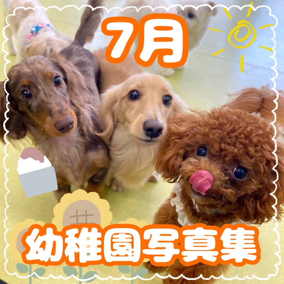 7月, 2025 - 犬のしつけ・犬の幼稚園ズットドッグ|桶川・上尾・伊奈